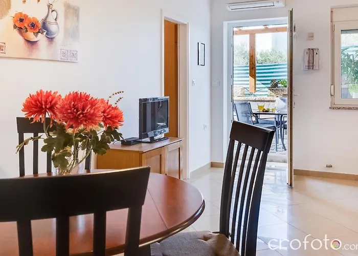 Niko 1 *